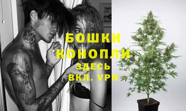 крисы Красноперекопск