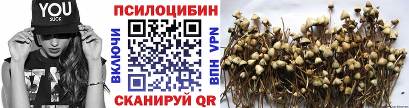 Псилоцибиновые грибы Cubensis Купить где Кировград