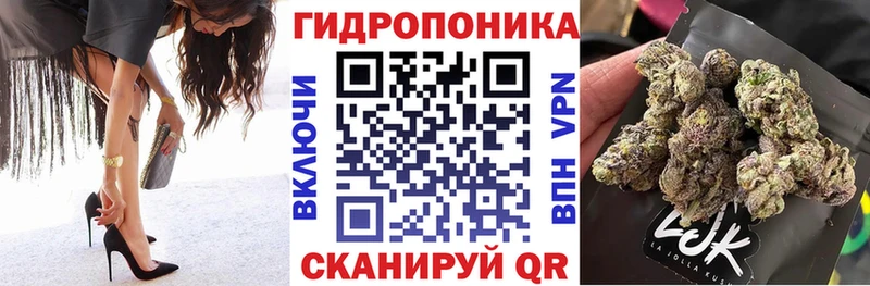Конопля марихуана Кировград